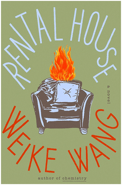 10 Great Books to Kick Off 2025 The Case of the Missing Maid great new fiction