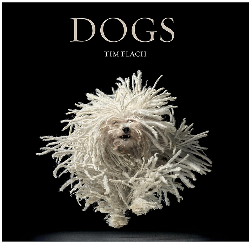 coffee table book about dogs