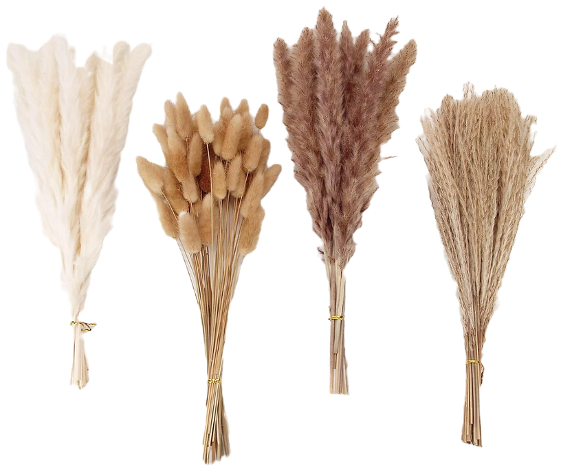 Cozy autumn decor and fall decorating ideas. Seasonal autumn decor on a budget like this dried pampas grass which looks so pretty in decorative fall or terracotta vases.