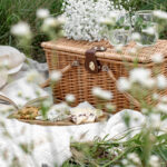 Stylish & Useful Picnic Accessories