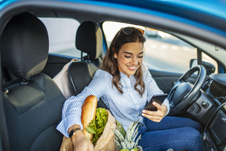 Cute Car Trash Cans & Interior Organizers