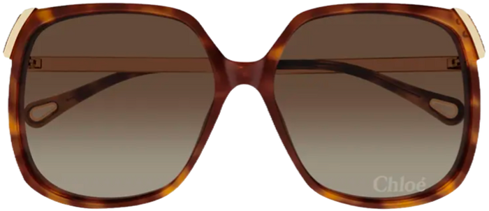 Chloe large oversrized sunglasses