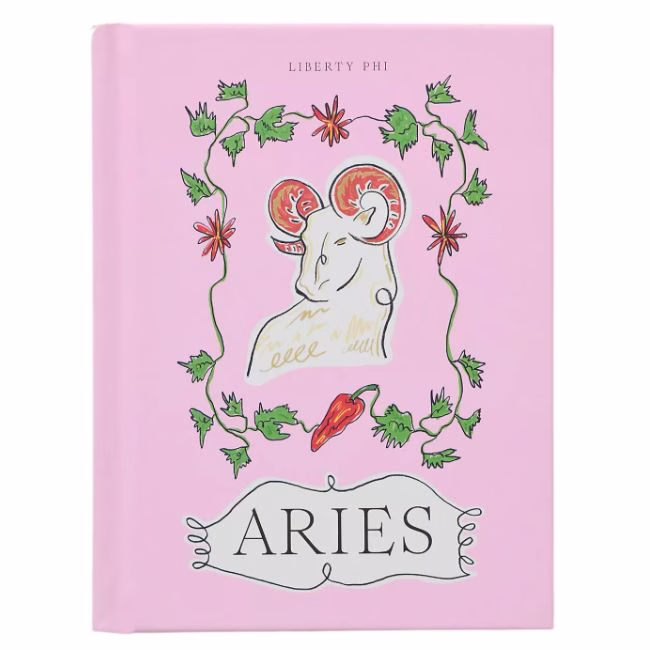 aries book