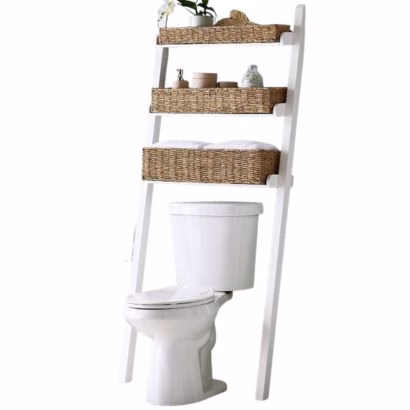 Over the Toilet Ladder