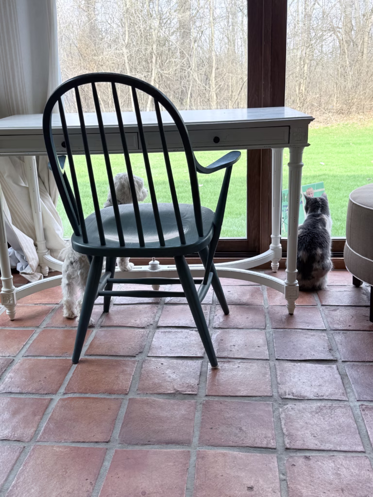 two animals monitoring the spring weather