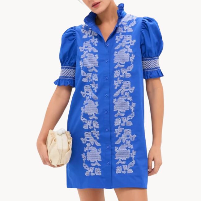 blue embroidered mini dress
