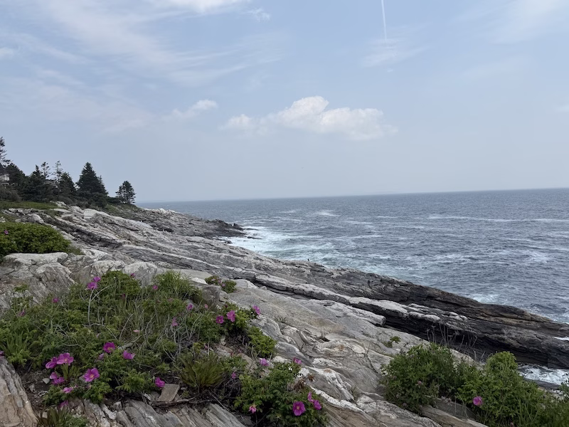 Pemaquid Point Rocky Outcrop