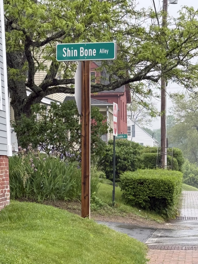 Shin Bone Alley street sign