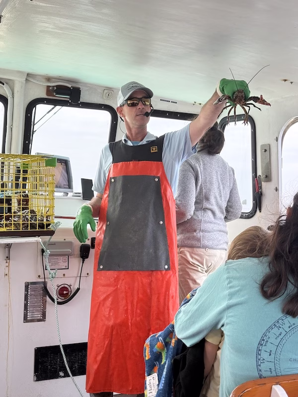 bass harbor maine nature tour man holding lobster