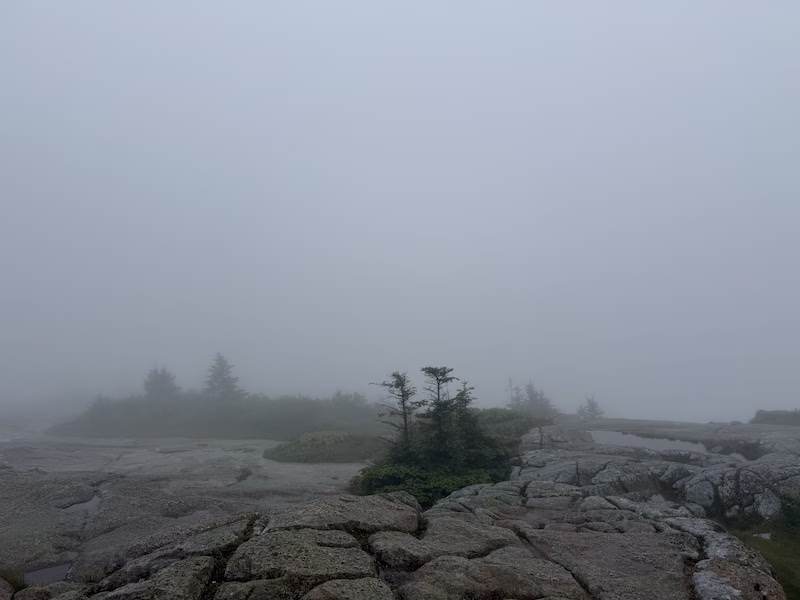 cadillac mountain in the fog