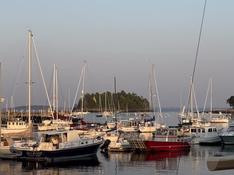 camden harbor at sunset
