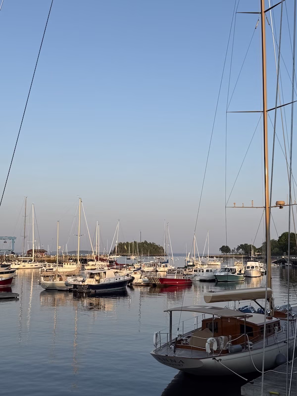 camden maine habor sail ride
