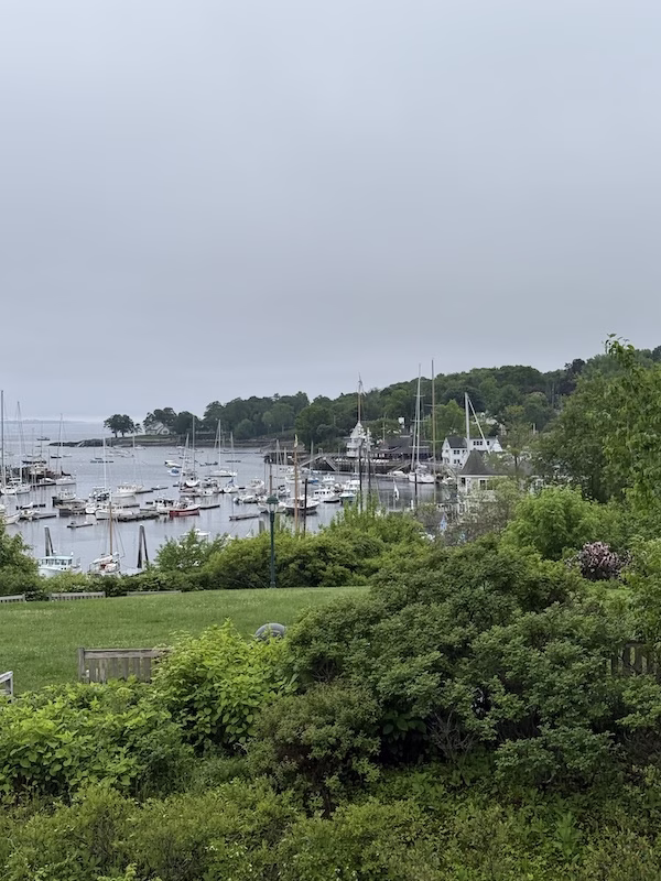 camden maine harbor