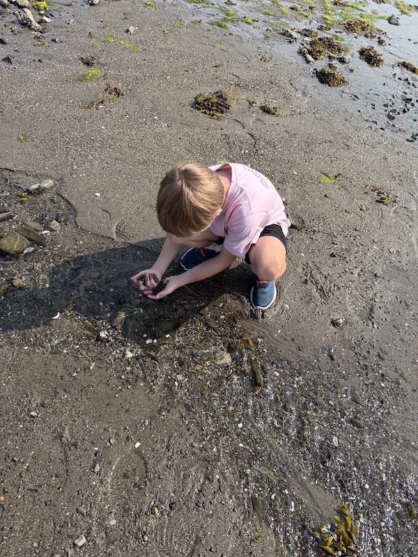finding treasures fisherman bay low tide bar harbor maine