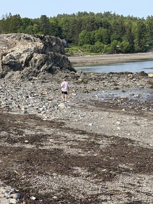 fisherman bay bar harbor maine low tide