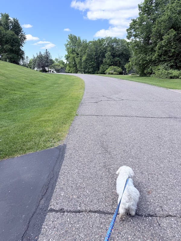 morning walk