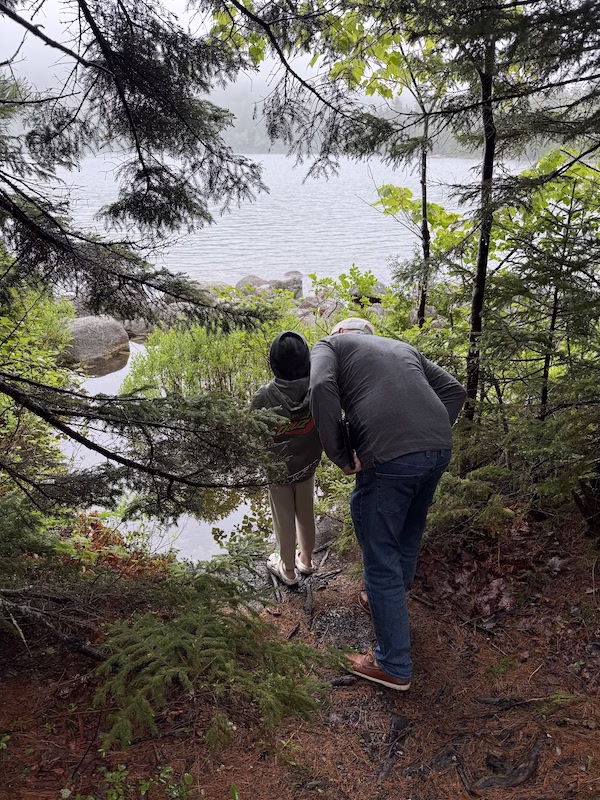 watching ducks acadia jordan pond