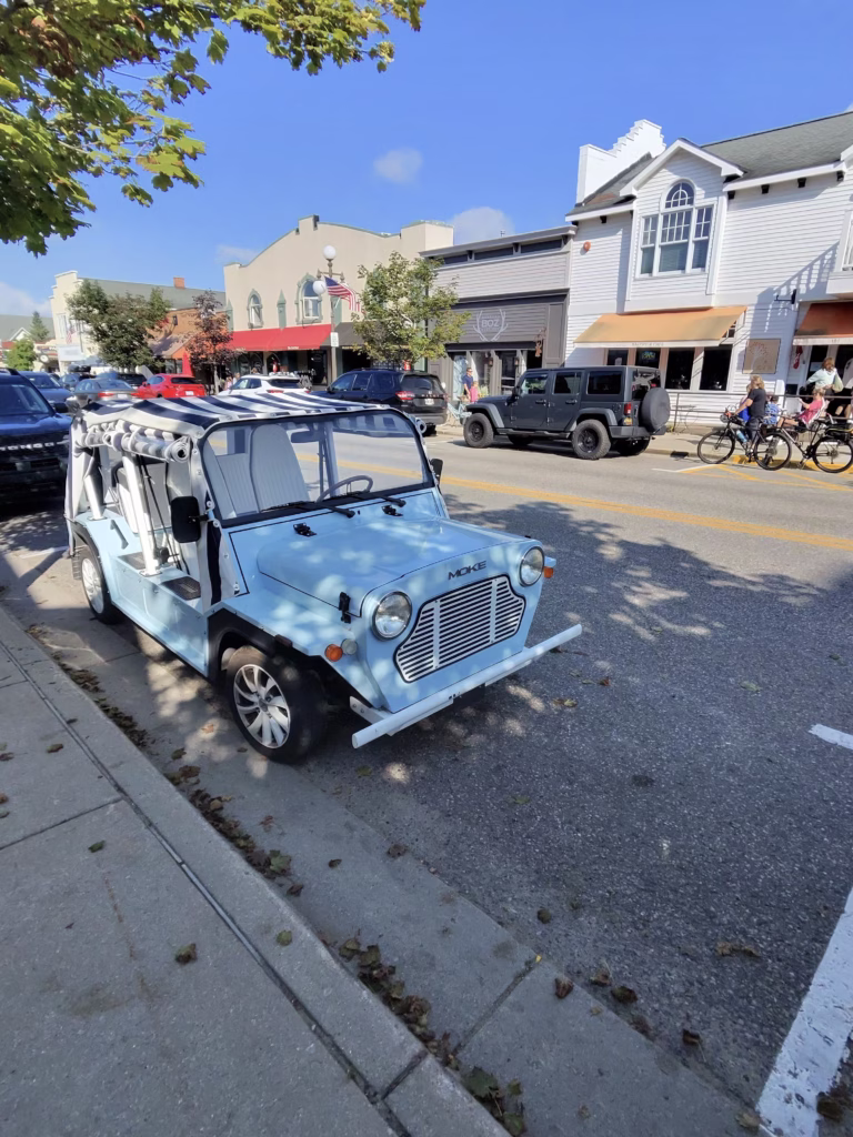 downtown harbor springs