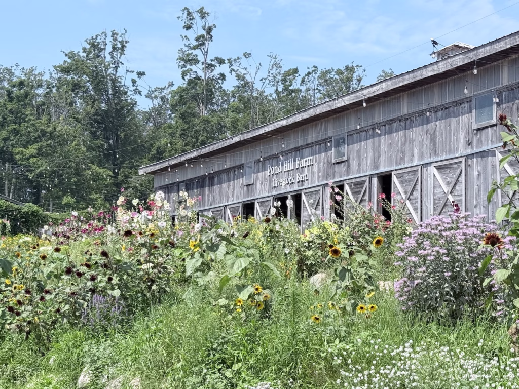 pond hill farm