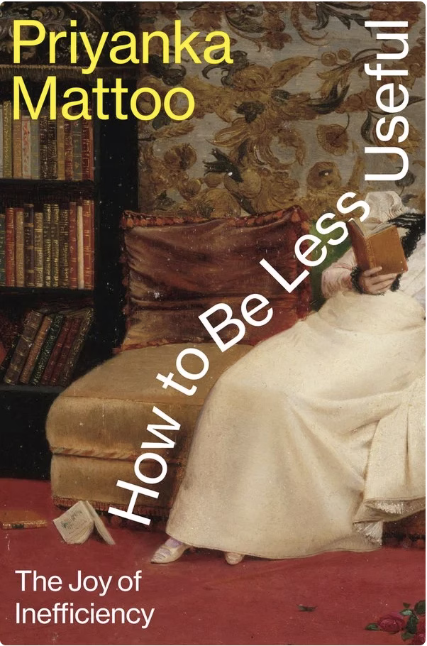 How to be less useful novel cover