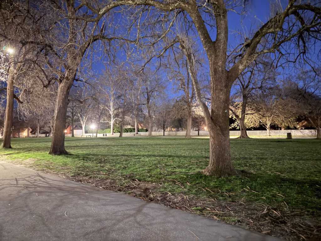 haunted ghost tour outside trees at night