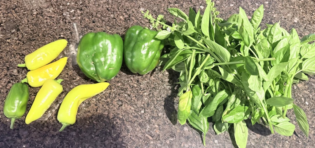 peppers and basil