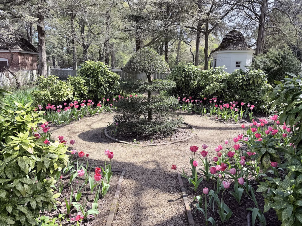 pretty flowers and spring foilage in colonial williamsburg