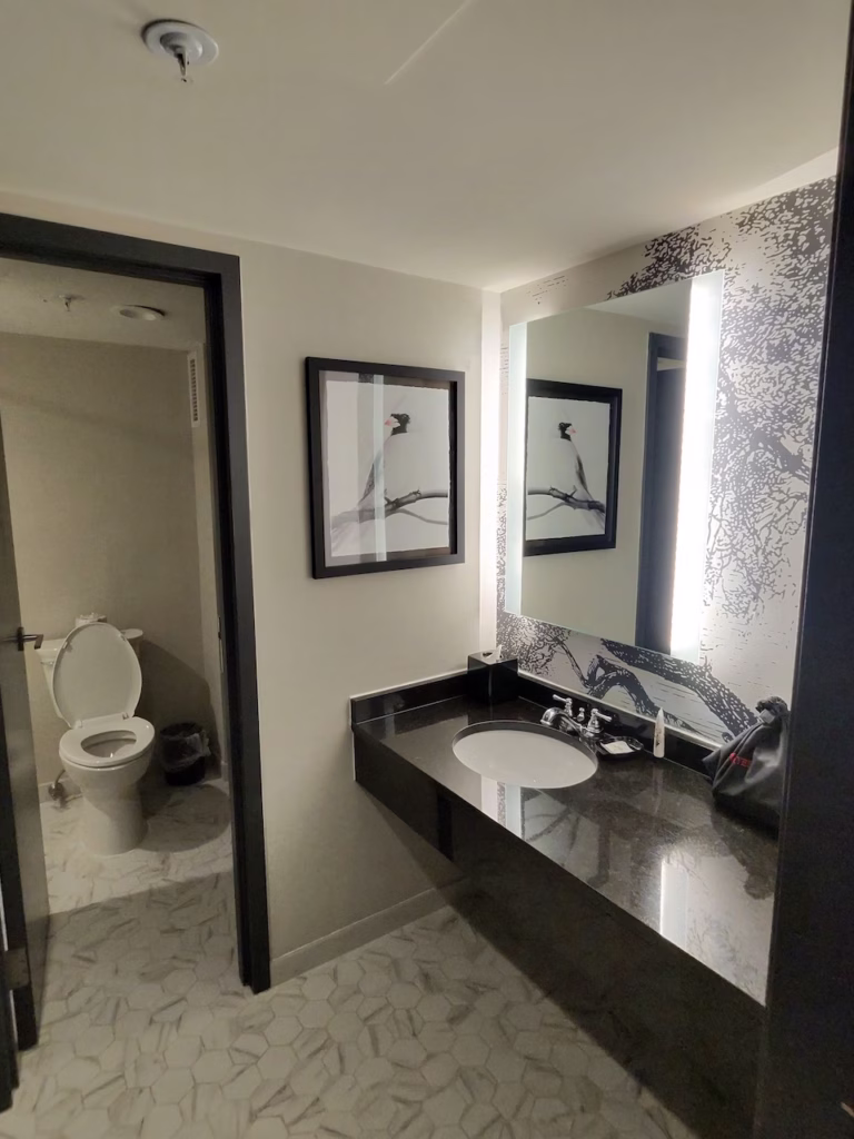 williamsburg hotel bathroom