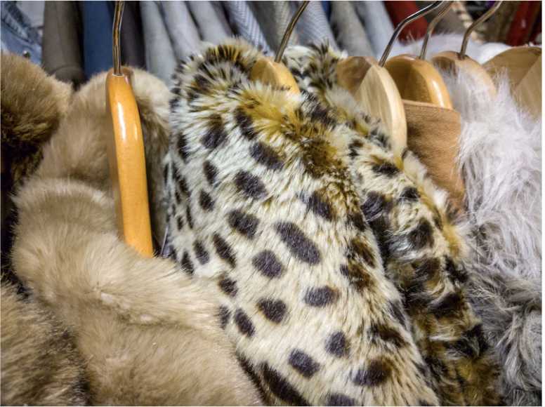 teddy jackets on a rack