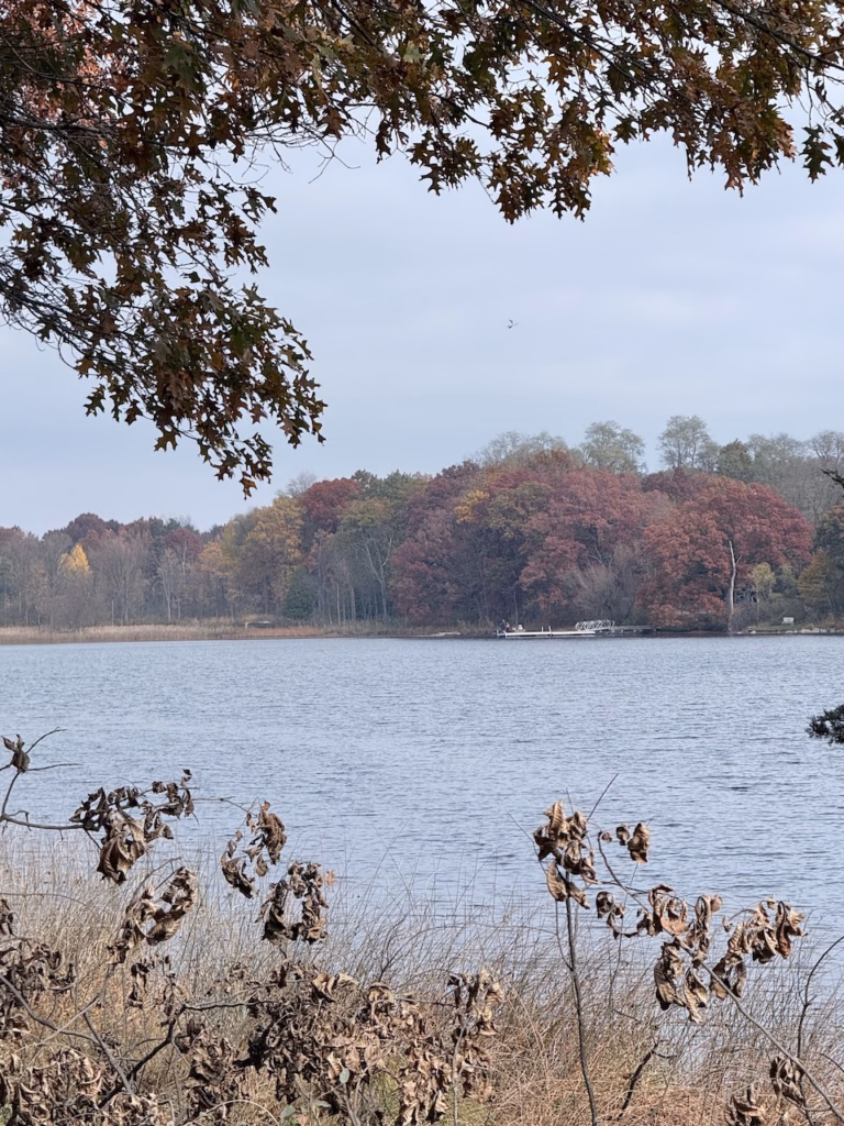 fall nature walk 1