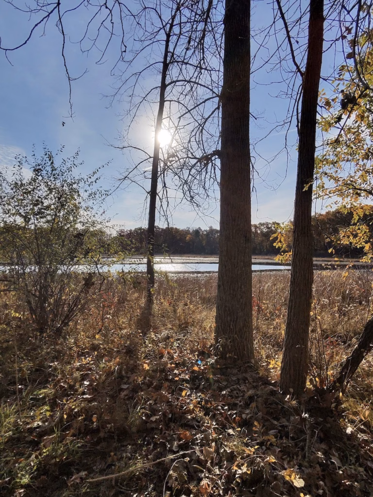 fall nature walk 2