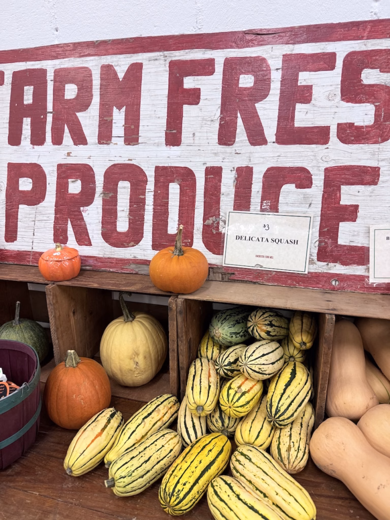 farm fresh squash