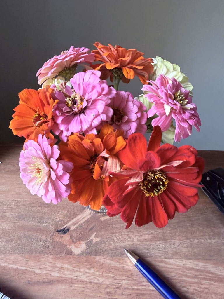 zinnias on a desk
